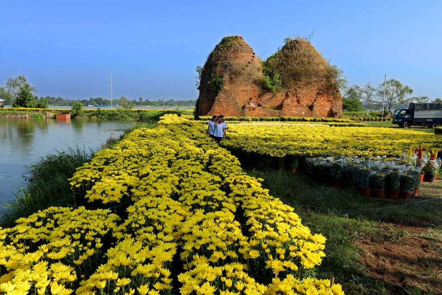 Các em học sinh, sau giờ tan học cũng đến ngắm hoa.