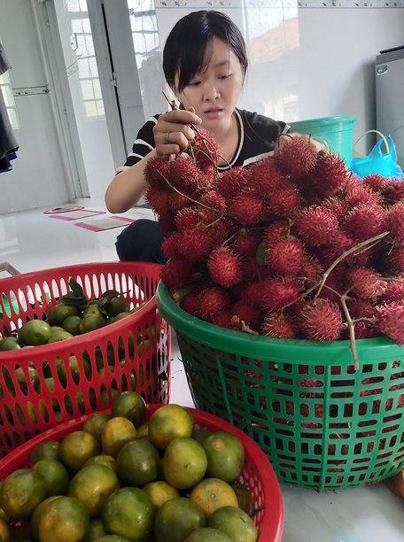 Kinh doanh hoa tươi, trái cây dịp tết các bạn trẻ cũng kiếm được “chút đỉnh” trang trải chi phí năm học mới.