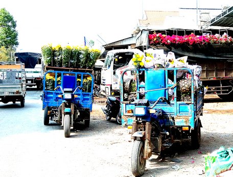 Tất bật những chuyến xe lên xuống hàng, chuẩn bị những chuyến đi xa.