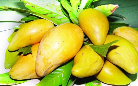 Chống ung thư: Quả trứng gà có chứa hàm lượng chất chống oxy hóa cao là polyphenol và carotenoids. Hai nhóm chất chống oxy hóa này giúp tăng cường sức khỏe, chống lại ung thư.