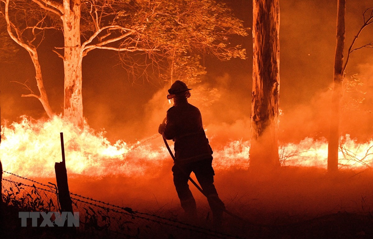 Lực lượng cứu hỏa Australia nỗ lực đập tắt các đám cháy rừng. (Ảnh: AFP/TTXVN)