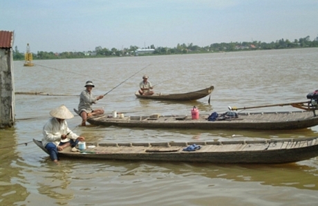 Những chiếc ghe ra sông đánh bắt cá bông lau.