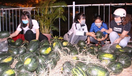 “Giải cứu dưa hấu” là việc làm ý nghĩa của bạn trẻ