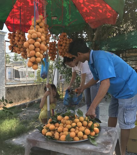 Nhà vườn ở xã Đông Thành bán trái thanh trà cho khách qua lại gần xa.