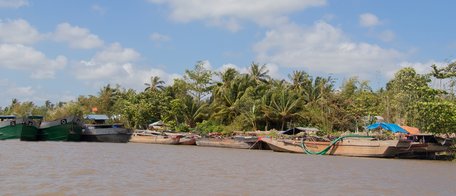 Nhiều phương tiện khai thác cát trái phép bị tạm giữ.