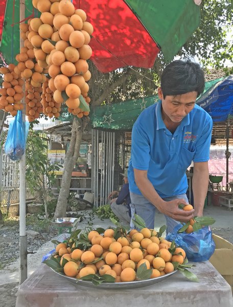 Anh Trần Văn Vũ cân trái thanh trà bán khách đường xa.