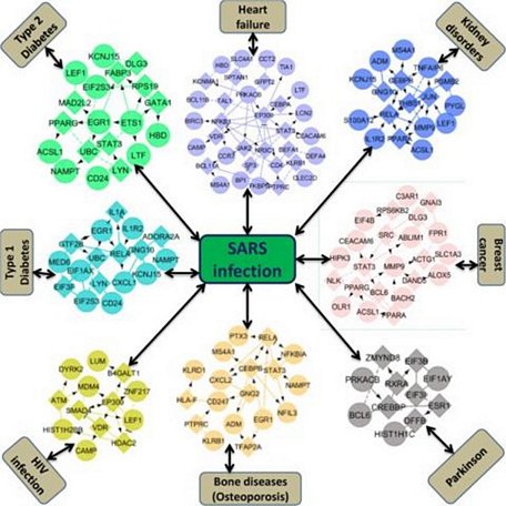 Mạng tương tác giữa các protein của 8 bệnh lý (suy tim mãn tính, suy thận, ung thư vú, Parkinson, loãng xương, HIV, tiểu đường loại I và II) có liên quan đến SARS-Cov.