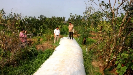 Ngoài việc cải tạo mương vườn trữ ngọt, người dân còn trang bị túi nhựa trữ nước có dung tích lớn.