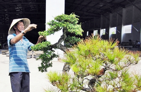 Thông qua việc nâng tỷ lệ lao động có việc làm còn giúp xã Thuận An nâng chất tiêu chí thu nhập trong xây dựng nông thôn mới nâng cao.