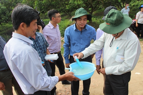 Khuyến cáo nông dân nên kiểm tra độ mặn trước khi tưới nước.