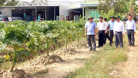 Vĩnh Long có bước chuyển đổi sản xuất nông nghiệp theo hướng thích ứng biến đổi khí hậu, hạn hán, xâm nhập mặn. Trong ảnh: Ông Trần Hoàng Tựu- Phó Chủ tịch UBND tỉnh (bìa trái) đến khảo sát mô hình chuyển đổi sản xuất trên đất của nông dân huyện Trà Ôn.