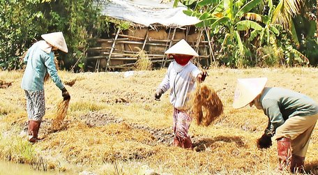 Thông qua các dự án hỗ trợ nông dân, đã giúp nông dân có điều kiện vươn lên.