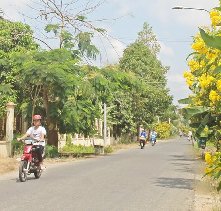 Sắc hoa hoàng yến rực rỡ tại một góc tuyến đường nhờ công vun trồng, chăm sóc của Hội Nông dân xã Long Mỹ.