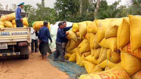 Đảm bảo an ninh lương thực đẩy mạnh cơ cấu lại sản xuất nông nghiệp, đảm bảo đáp ứng đủ nhu cầu lương thực cho tiêu dùng trong nước và xuất khẩu.