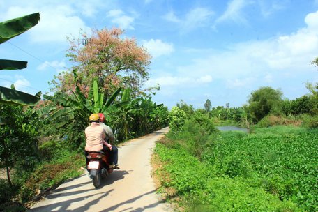 Một hình ảnh phổ biến hiện nay ở Đồng Tháp Mười, đường giao thông đã thay thế những dòng kinh trong việc lưu thông, vận chuyển nông sản.