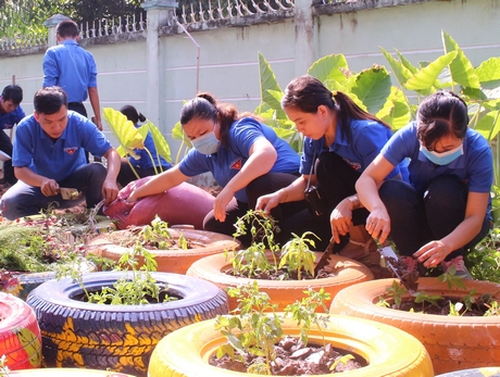 Đoàn viên thanh niên thực hiện công trình thanh niên trồng hoa.