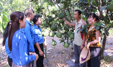 Thanh niên nông thôn mạnh dạn phát triển kinh tế, khởi nghiệp với nhiều mô hình hay.