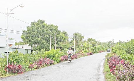 Hệ thống đèn thắp sáng trong xã được đầu tư đáp ứng ngày càng tốt nhu cầu đi lại của người dân.