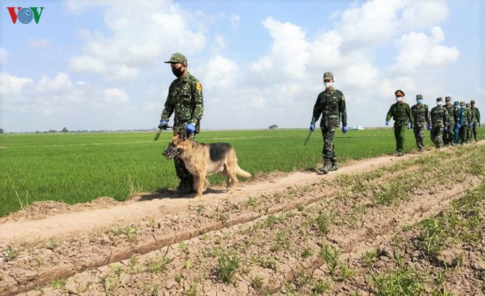 Chó nghiệp vụ của Đồn Biên phòng cửa khẩu quốc tế Vĩnh Xương.