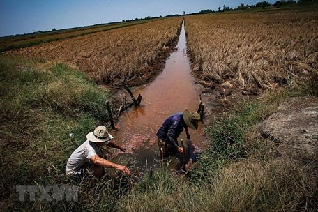 Ảnh minh họa. (Nguồn: Trọng Đạt/TTXVN)