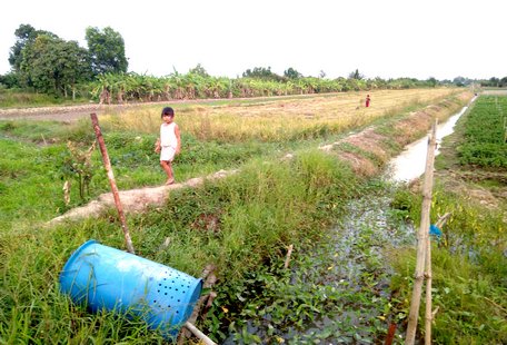 Về quê ấm áp tình, lại có không gian thoáng đãng, phù hợp với việc không ra khỏi nhà trong khoảng thời gian này.