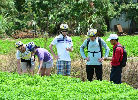 Du khách thích thú khi tham quan và trải nghiệm làm ruộng rẫy. Ảnh: VINH HIỂN