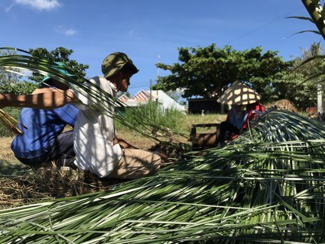 Vợ chồng anh Lộc chẻ cây lác loại “ngoại hạng” 2m.