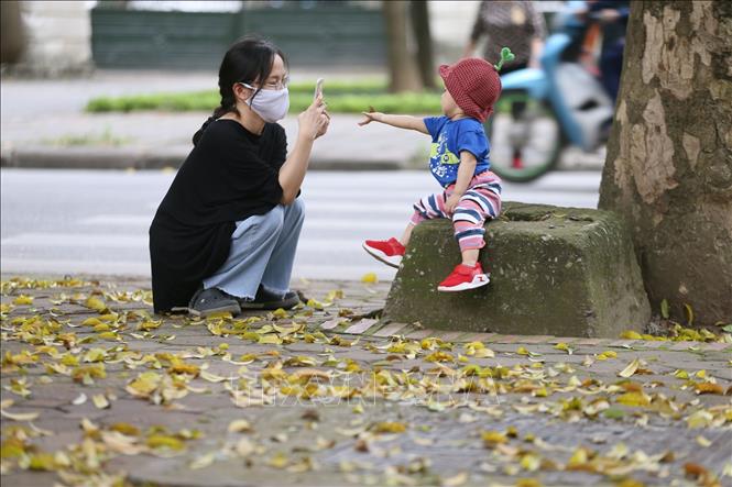 Cùng chơi với lá sấu vàng trên đường Phan Đình Phùng nhưng vẫn chủ động phòng chống dịch COVID-19. Ảnh: Anh Tuấn/TTXVN