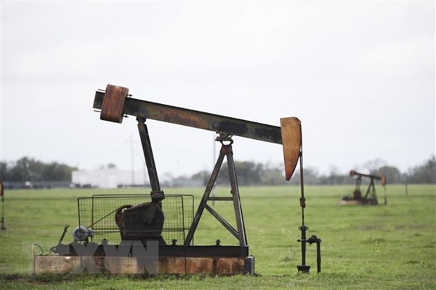 Một trạm bơm dầu ở Luling, bang Texas, Mỹ. (Ảnh: THX/TTXVN)