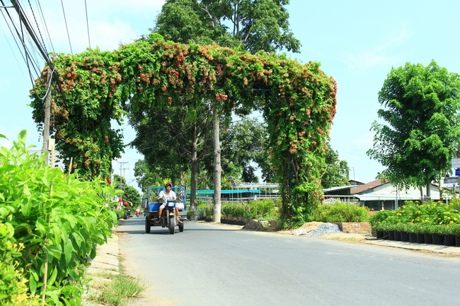 Làng hoa Sa Đéc vốn tấp nập du khách, năm nay rất vắng vẻ.