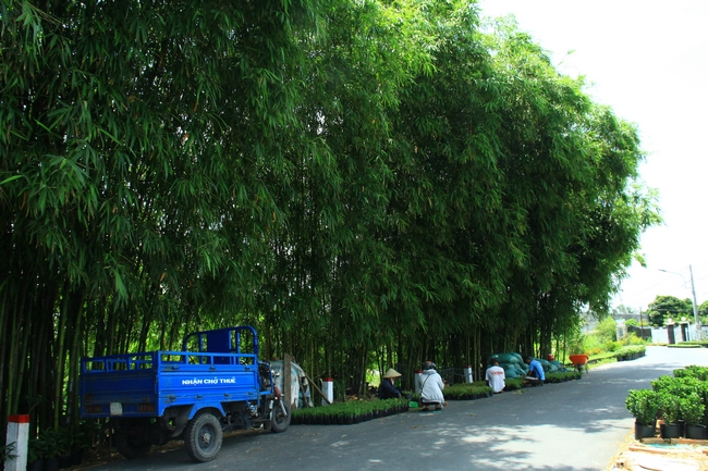 Xe chở thuê nghỉ ngơi bên khung cảnh quá đỗi thanh bình.