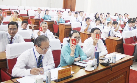 Đại biểu biểu quyết thông qua danh các chỉ tiêu chủ yếu.