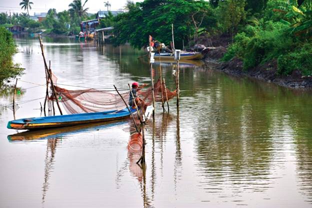 Người dân đặt lú dưới sông ở gần cửa biển thuộc xã Khánh Tiến, huyện U Minh.