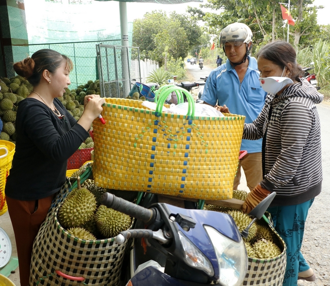 Vựa sầu riêng hơn 8 năm, chị Phan Mỹ Tiên cho hay: “Đó giờ mới thấy sầu riêng rớt giá mà bán chậm như vầy”.