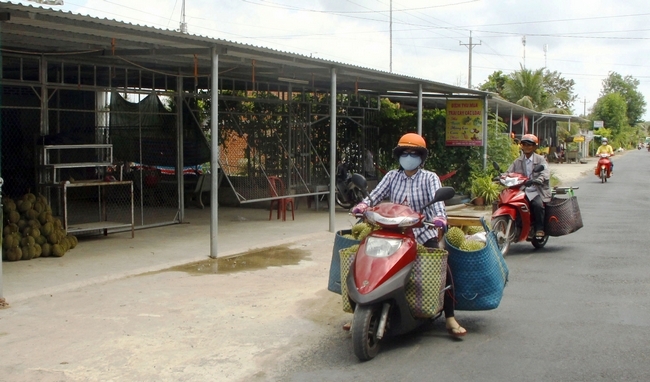 Vựa xuất khẩu không được, nhà vườn kêu lái đến mua cũng trần thân, nhiều người trồng đã phải tìm cách bán được mớ nào hay mớ đó, từ ngồi bán ven đường đến chở đến các tỉnh lân cận để bán lẻ.