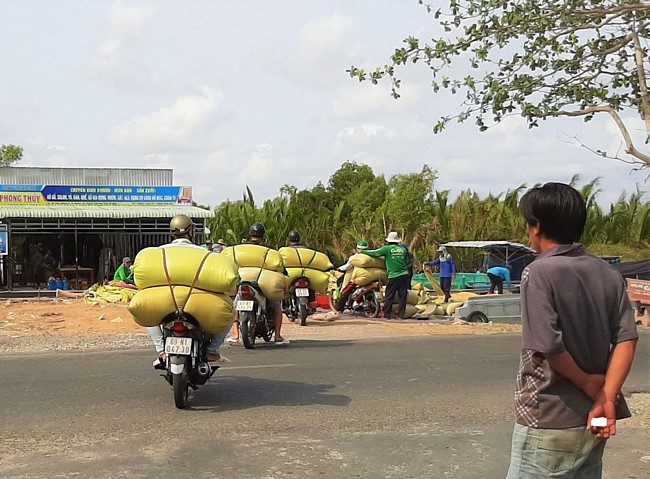 Khi thương lái ở các vùng trên về thu mua lúa, nhóm trưởng sẽ đứng ra nhận mối và huy động anh em vận chuyển. Công việc của họ gồm 2 bước: dùng xe máy chở lúa ra và đưa lúa từ trên bờ xuống ghe.