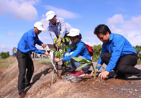 Trồng cây xanh bảo vệ môi trường tại xã Tân Hưng