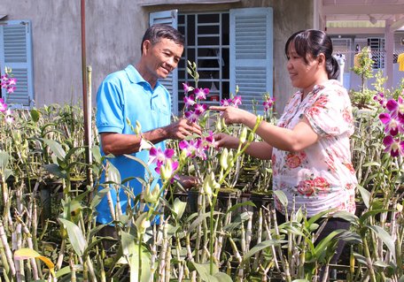 Chú Võ Quốc Thái giới thiệu mô hình trồng lan bán cành lợi nhuận gấp 3- 4 lần so với trồng lúa.