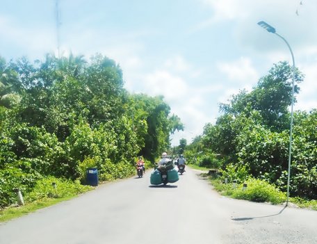 Công trình “thắp sáng đường quê” góp phần tạo diện mạo mới và thuận lợi cho người dân khi lưu thông về đêm.
