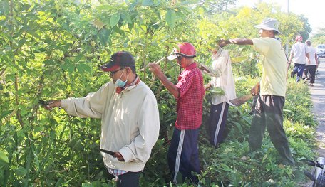 Hội Nông dân xã Long Mỹ thường xuyên ra quân dọn dẹp cành quang