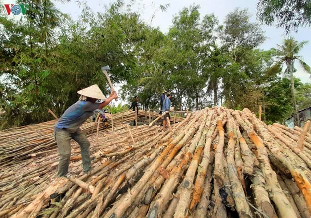 “Chợ tràm” tại vùng Đất Mũi - Cà Mau hoạt động quanh năm.