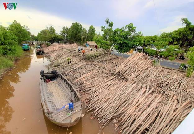 Nơi đây trở thành điểm tập kết tràm vì thuận tiện vận chuyển cả đường bộ và đường thủy.