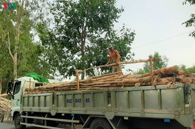 Hàng ngày, không thiếu xe tải các tỉnh lân cận và ghe của các tỉnh ở xa đến trao đổi, mua bán.