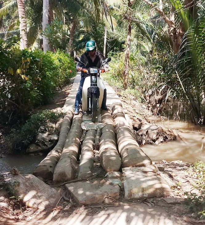 “Xe ta bon bon qua… cầu dừa”. Nhà báo Trần Phước (Báo Vĩnh Long) trên đường tác nghiệp tại Bến Tre tháng 2/2019 để thực hiện loạt bài “ĐBSCL trữ ngọt linh hoạt, chủ động thích ứng hạn mặn”.