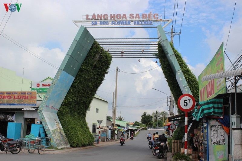 Bất kỳ tháng nào trong năm, đến với làng hoa Sa Đéc, tỉnh Đồng Tháp du khách cũng có thể ngắm hoa và chụp ảnh. Đây là làng hoa nổi tiếng của miền Tây Nam bộ với làng nghề truyền thống trên 100 năm.