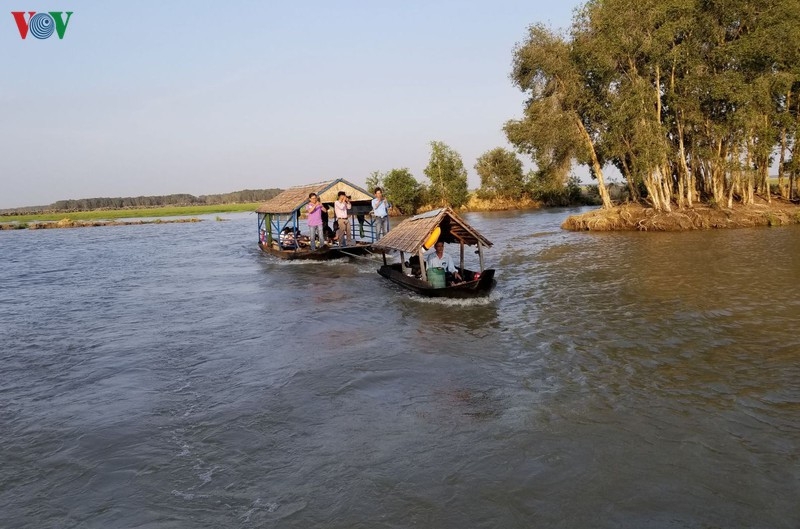 Một địa điểm không thể bỏ qua khi đến Đồng Tháp là Vườn quốc gia Tràm Chim, huyện Tam Nông, có diện tích hơn 7.300 ha với cảnh quan tuyệt đẹp cùng màu xanh của rừng tràm.