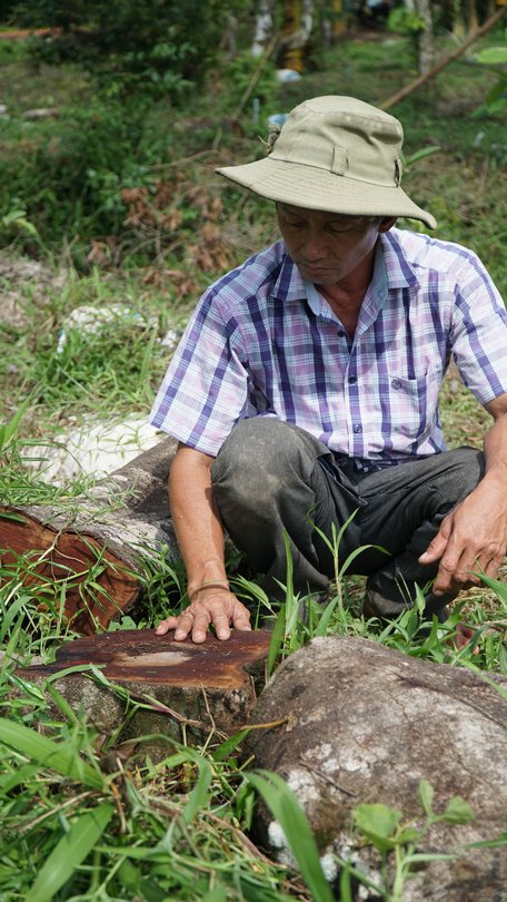 Cử tri kiến nghị ngành chức năng có giải pháp hỗ trợ người dân trong công tác phòng chống xâm nhập mặn, đặc biệt là khu vực các xã cù lao.