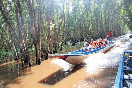 Khu du lịch rừng tràm Trà Sư