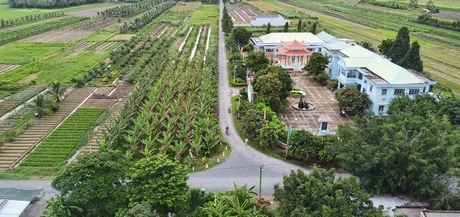 Quy hoạch vùng sản xuất giúp các địa phương phát triển sản xuất nông nghiệp toàn diện, nâng cao giá trị hiệu quả, bền vững.