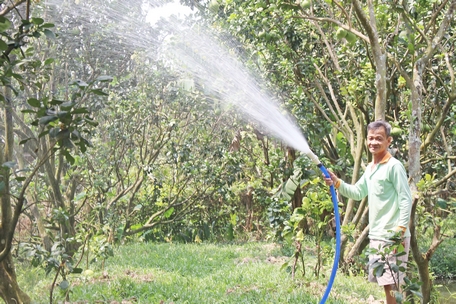 TX Bình Minh đang chú trọng đầu tư, hỗ trợ phát triển sản xuất để giúp người dân nâng cao thu nhập. Trong ảnh: Mô hình trồng bưởi Năm Roi của người dân xã Mỹ Hòa.